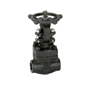 VALVULA COMPUERTA 1/2" 800 PSI NEWCO 18-FS2-RP
