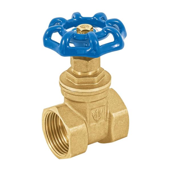 VALVULA COMPUERTA 1¨ CORO-1 FOSET   49019