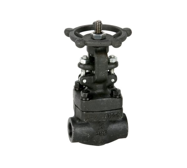 VALVULA COMPUERTA 3/4" 800 PSI NEWCO 18-FS2-RP