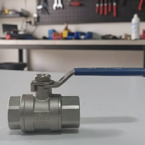 VALVULA  C/R INOX 1/2 PEGASUS