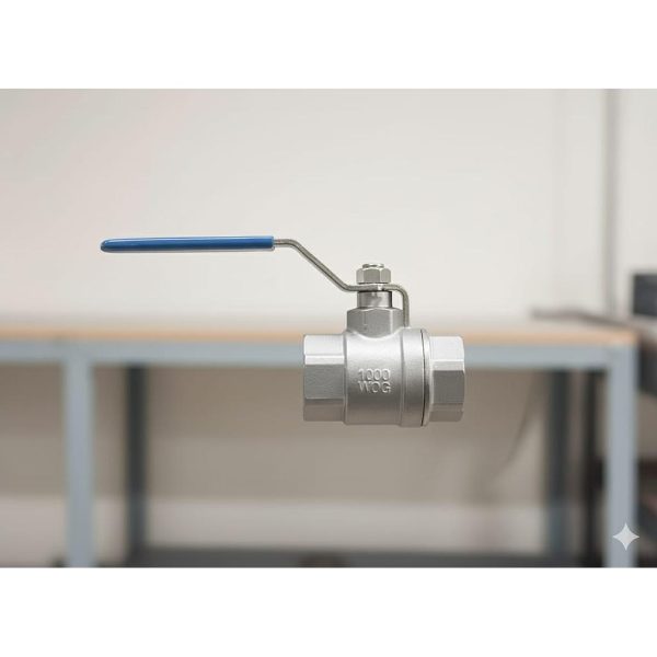 VALVULA C/R ROSCADA 2" 1,000 PSI 2 PIEZAS SM (INOX 316)